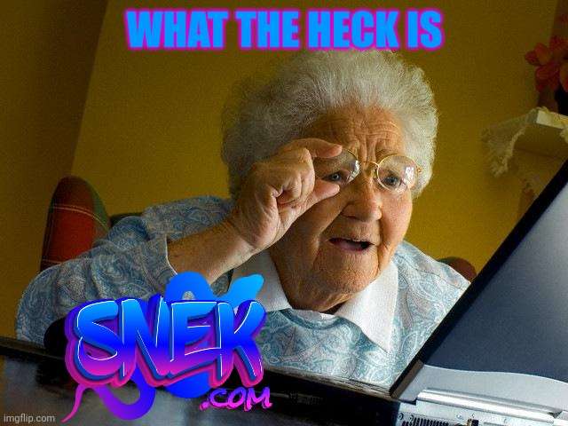 What is Snek.com?